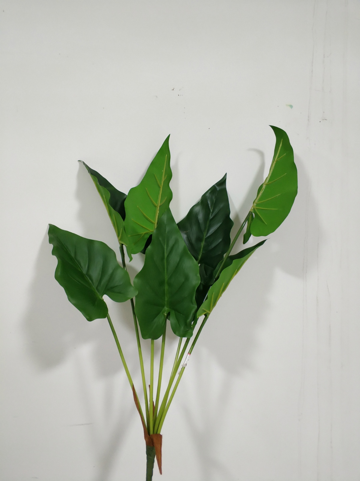 31" 7-Head Colocasia Real-Touch Bundle