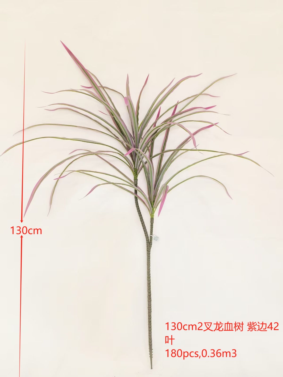 XJQH20250312-3
