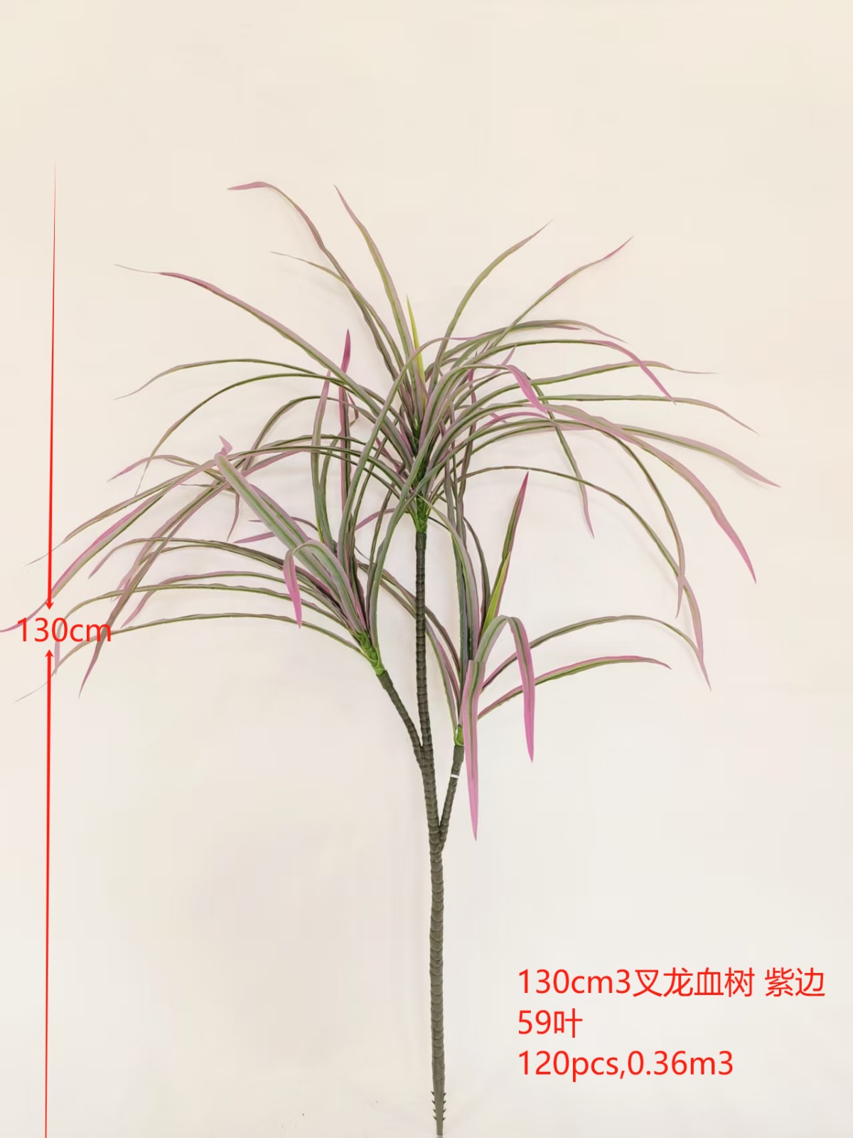 XJQH20250319-3