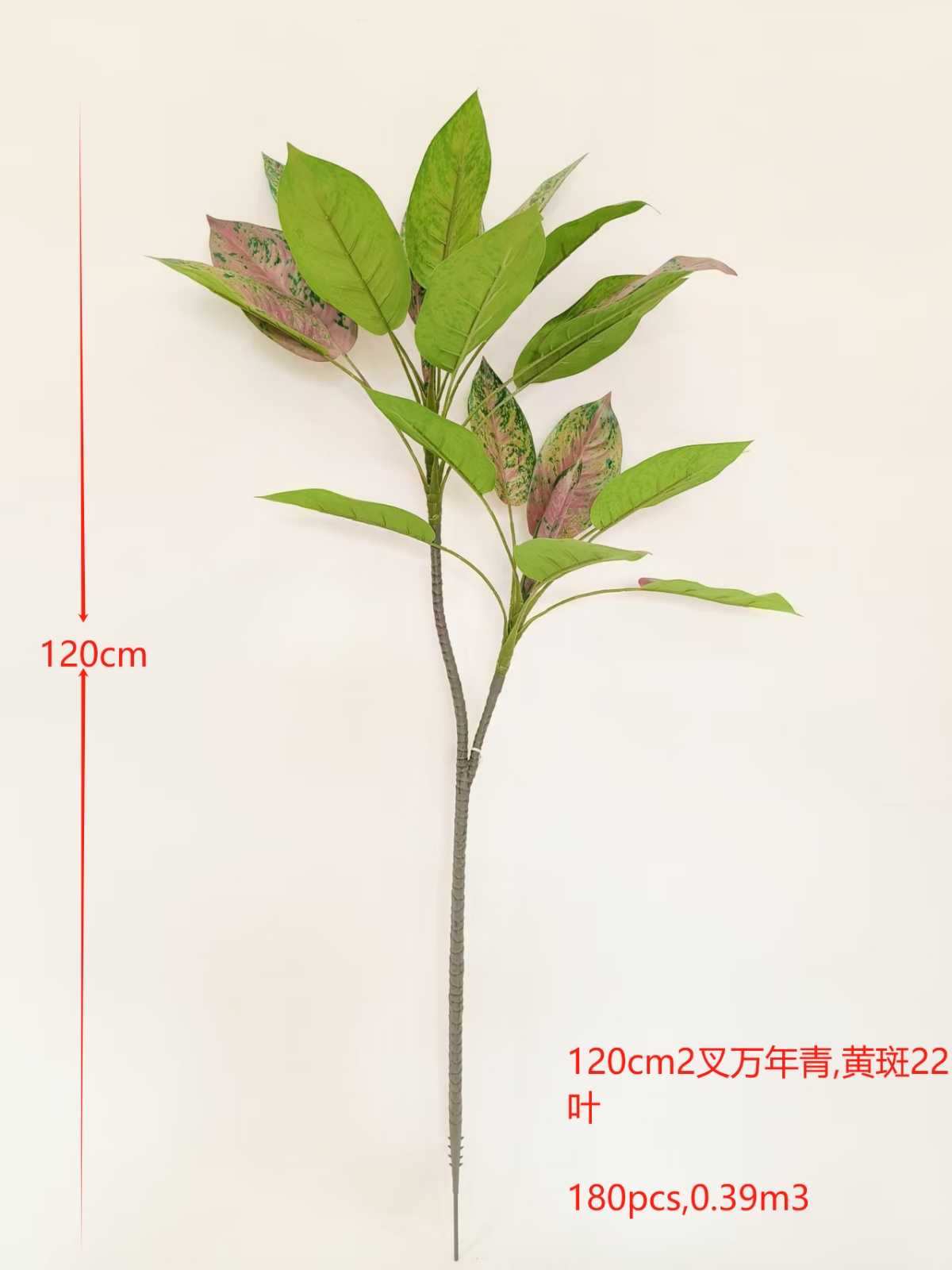 XJQH20250317-2