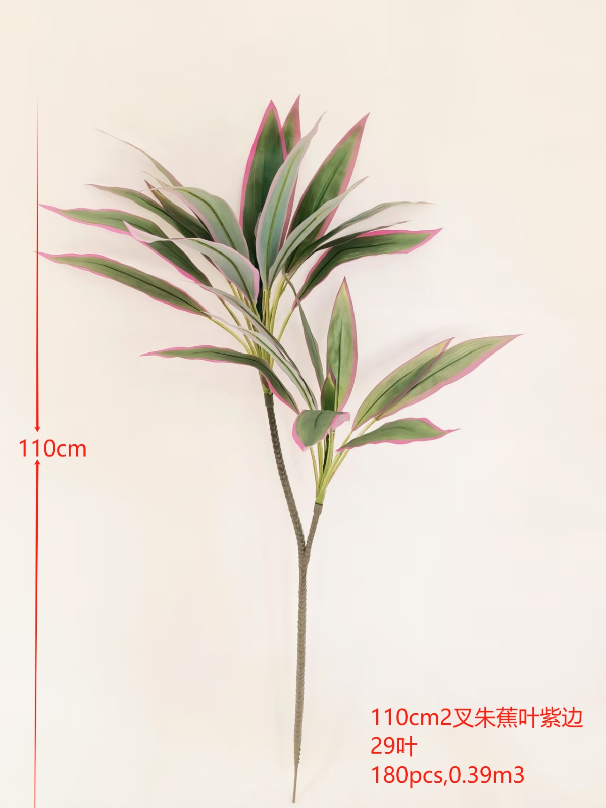 48"2叉朱蕉叶紫边
