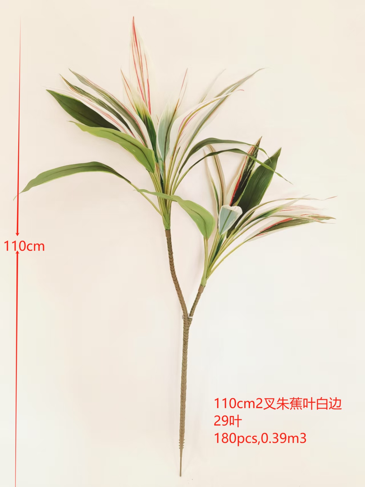 XJQH20250311-4