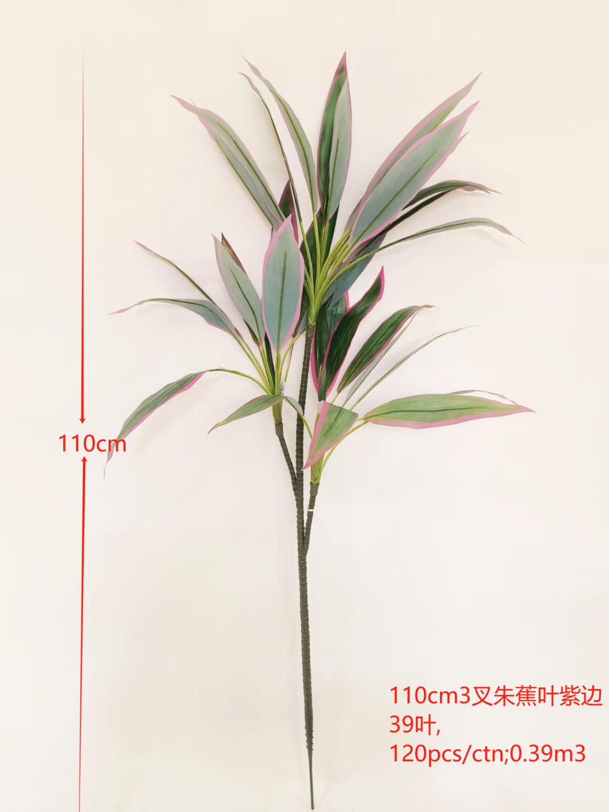 XJQH20250313-2