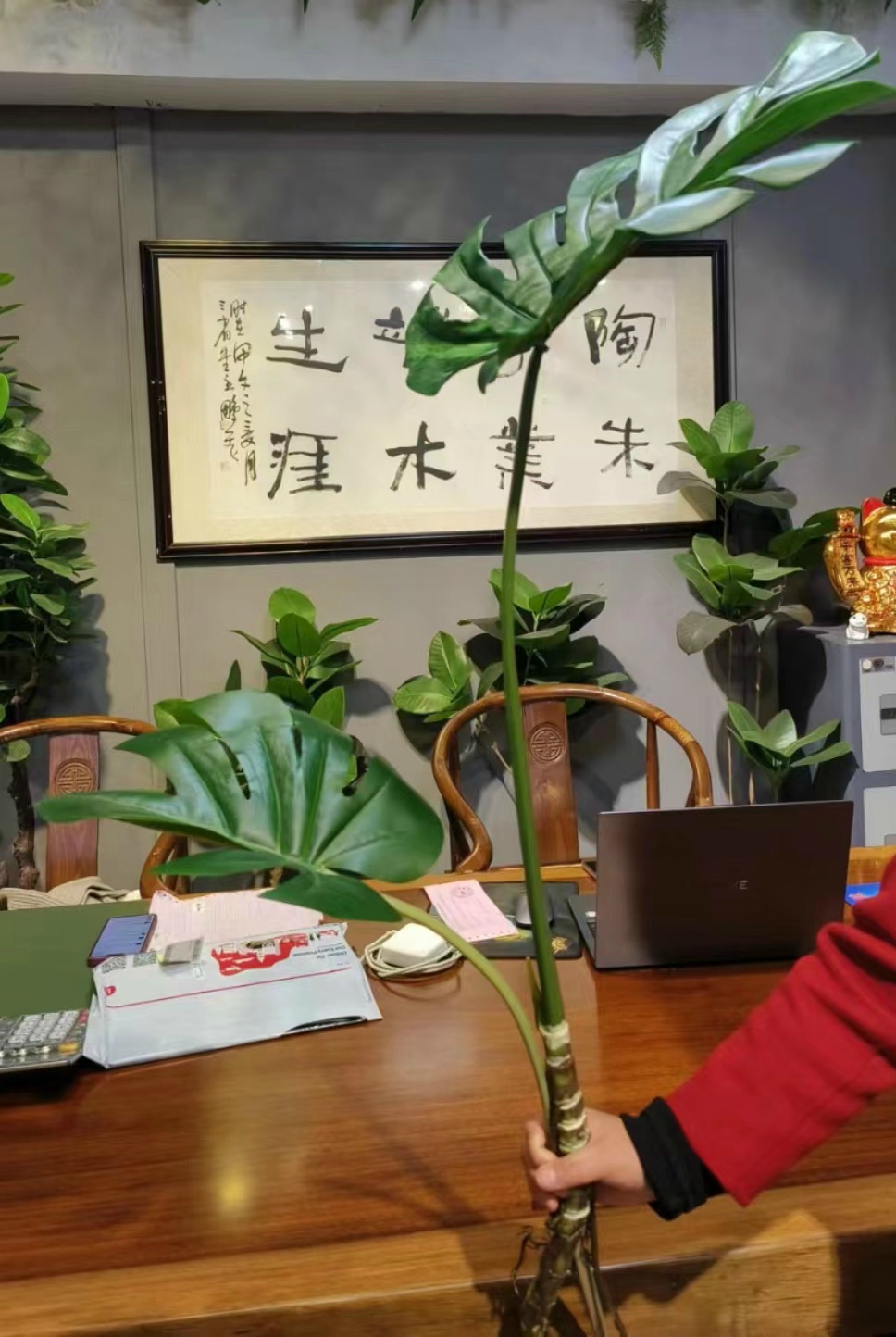 XJY23102403B
