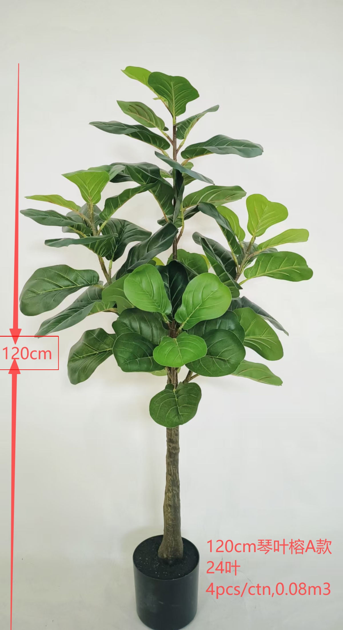 Ficus Lyrata, 47", 24 hojas, estilo A.