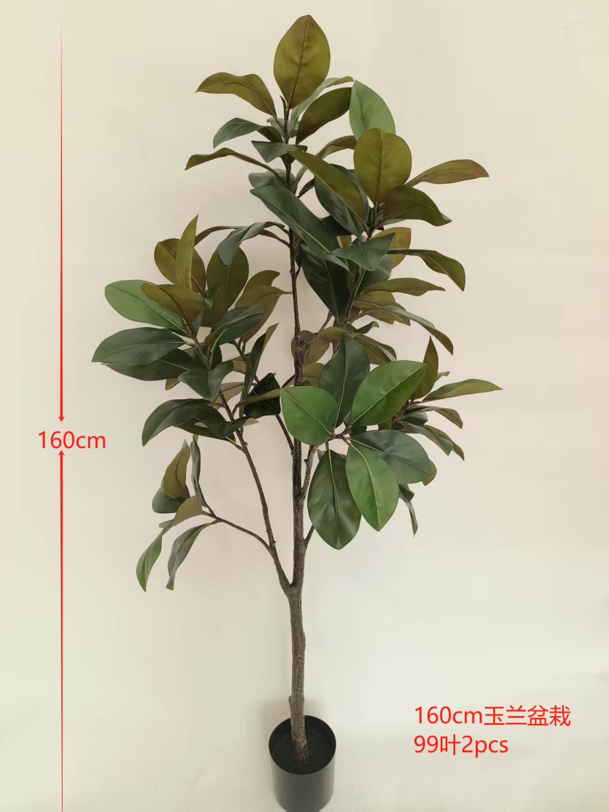 XJYS0541-170