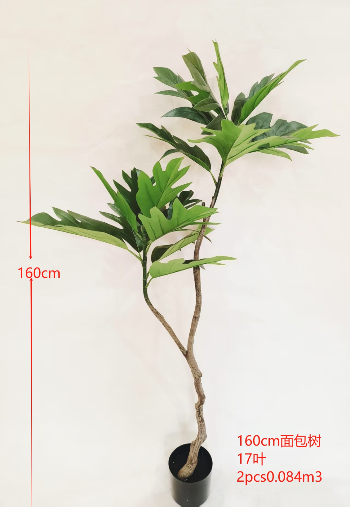 XJYS0644-160