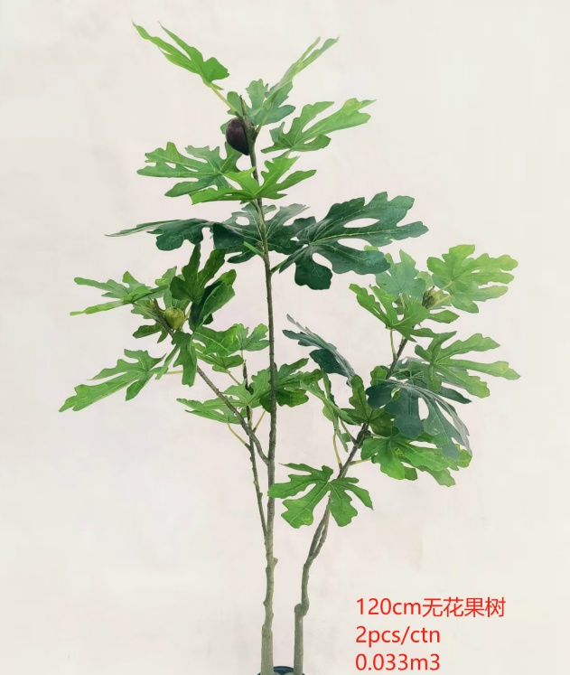 XJYF241024-120