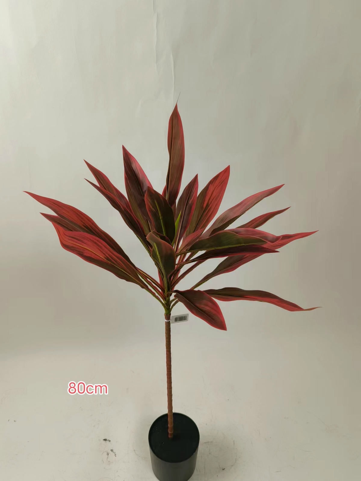 XJHF202303-1