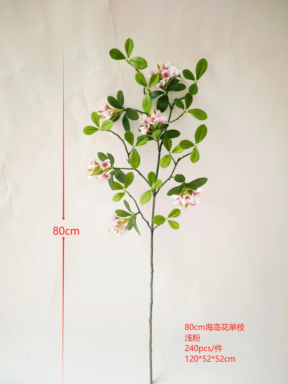 XJJHP20250105-4