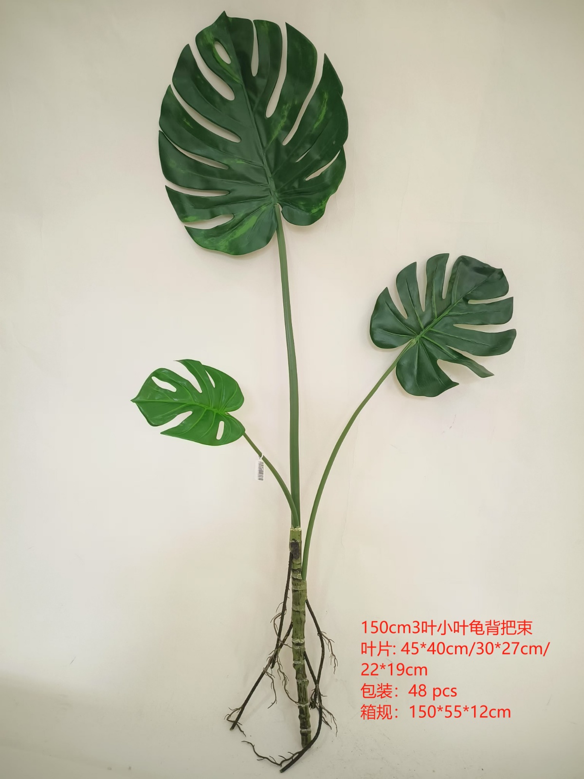 Bộ sản phẩm Monstera 3 lá, mã sản phẩm 63.