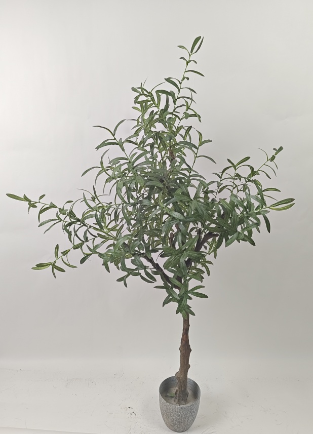 Pohon Zaitun dengan Buah, 59