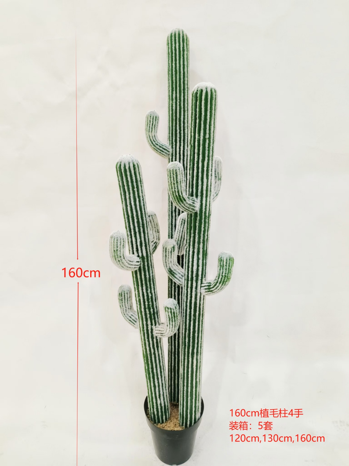 XJXR20241104-63
