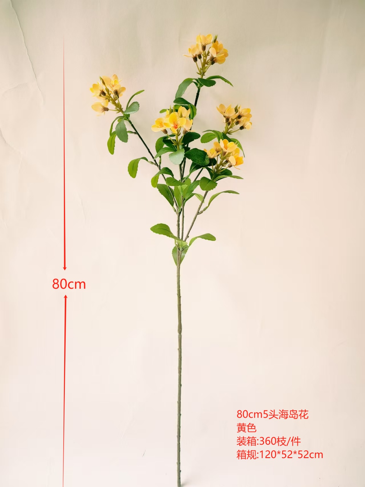XJJHP20250104-1