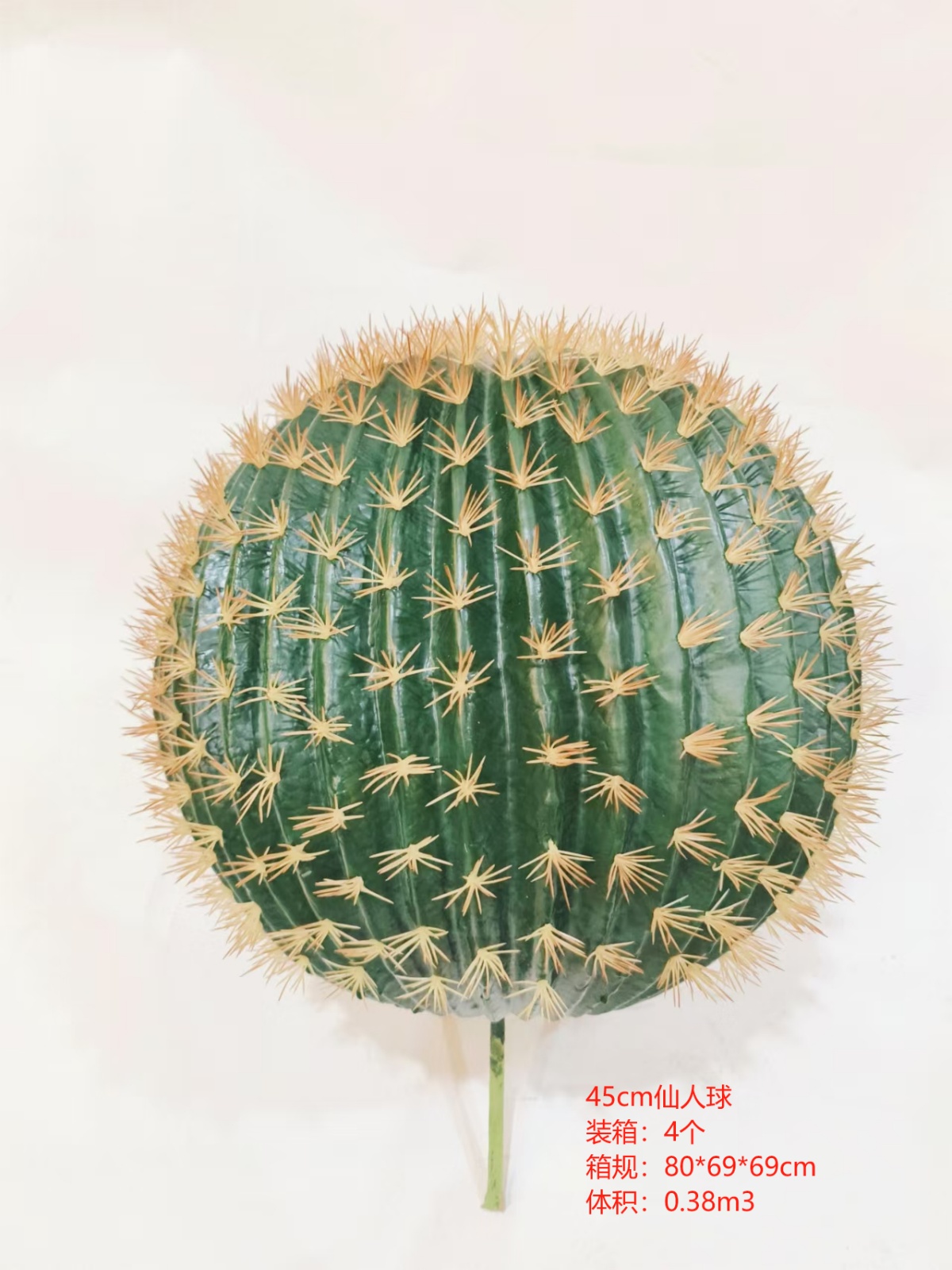 XJXR20241104-101