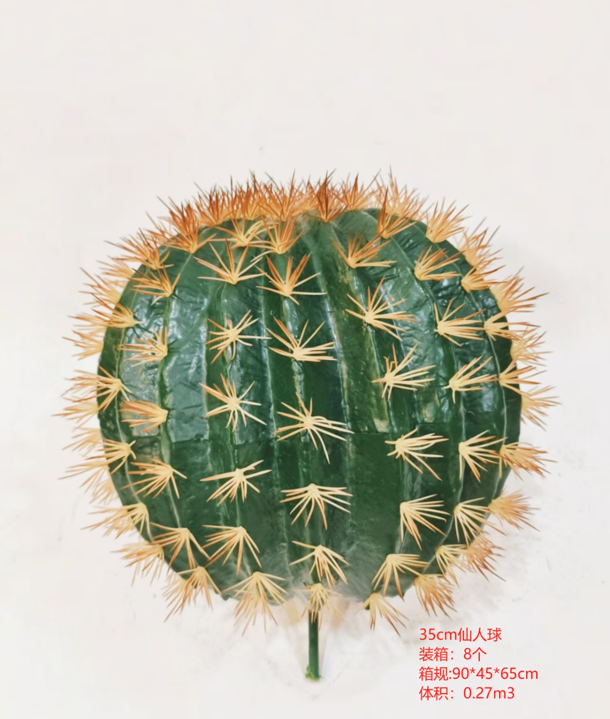XJXR20241104-98