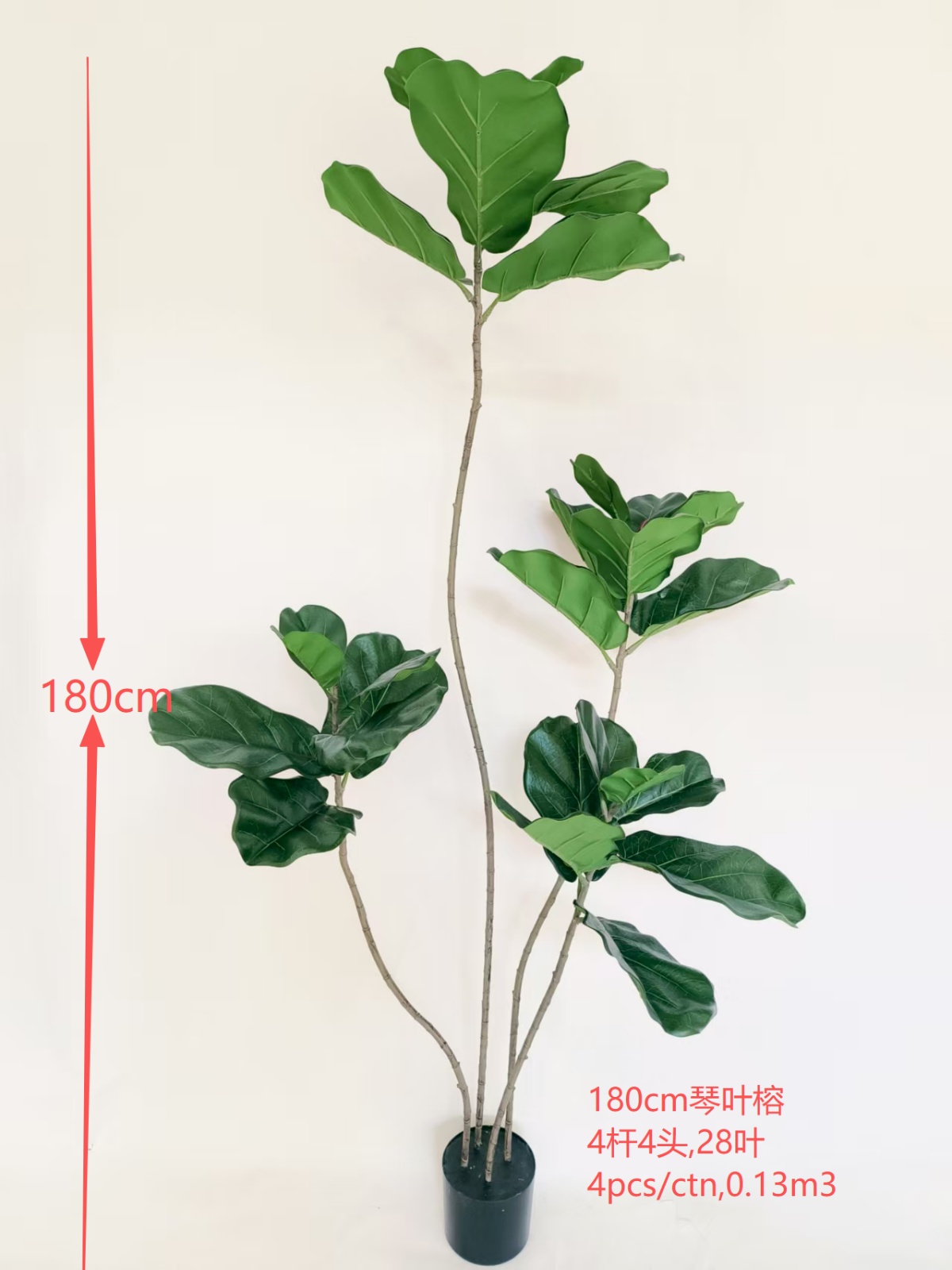 180cm琴叶榕4杆4头  绿色