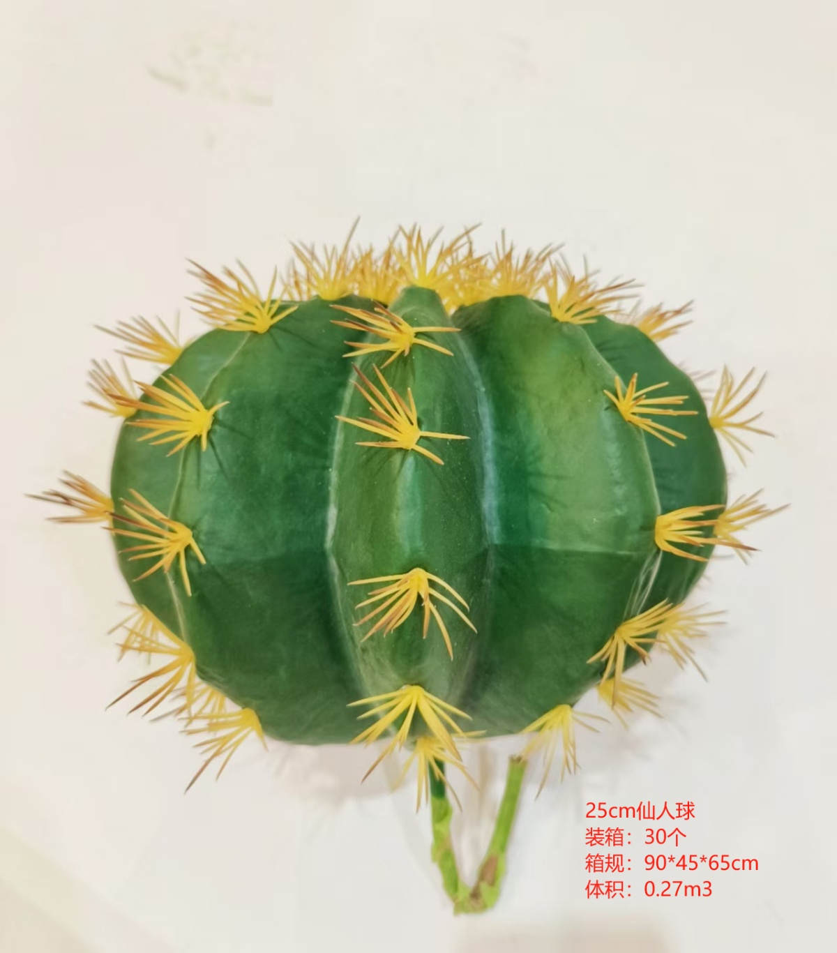 XJXR20241104-91