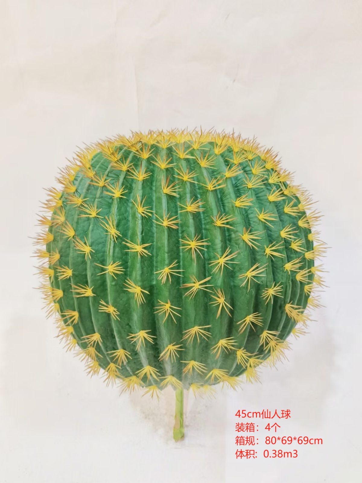 XJXR20241104-89