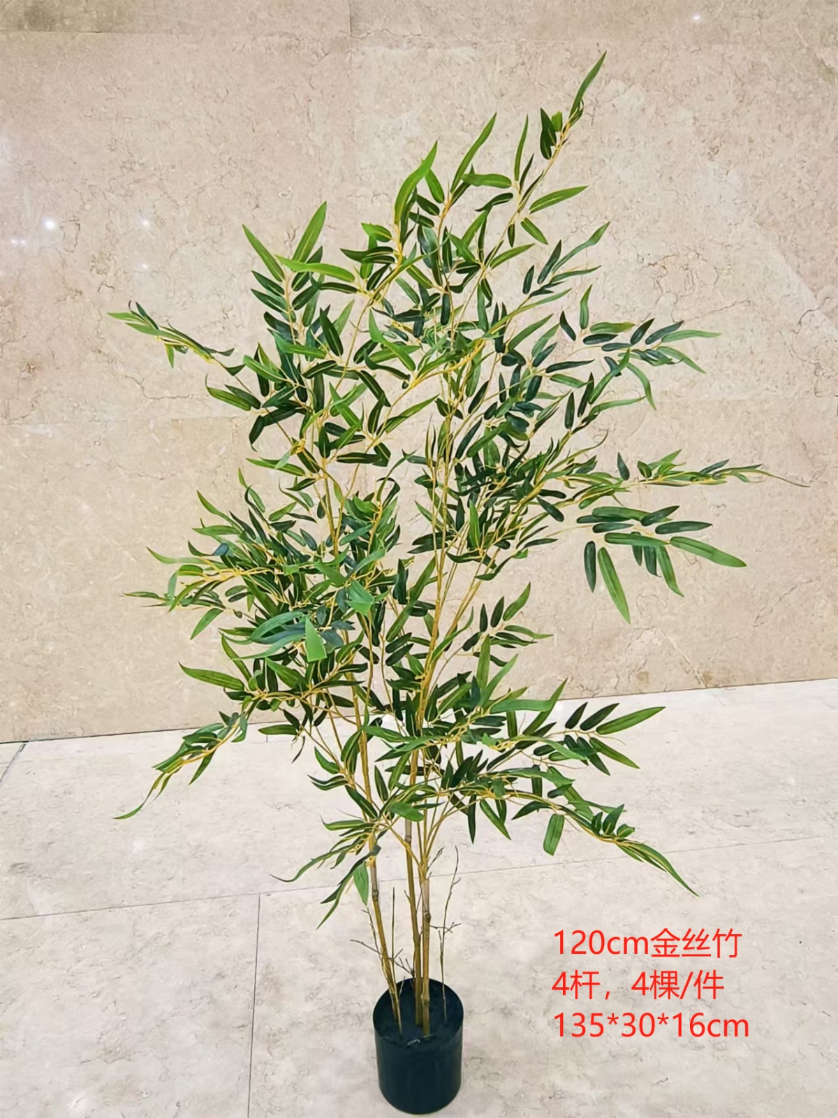 XJWBX20241031-120