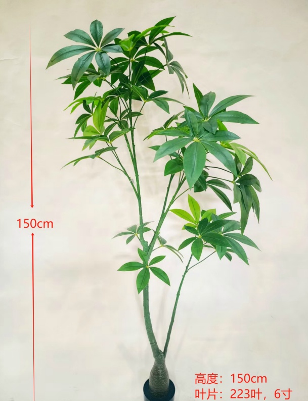 59"新品发财树 无盆