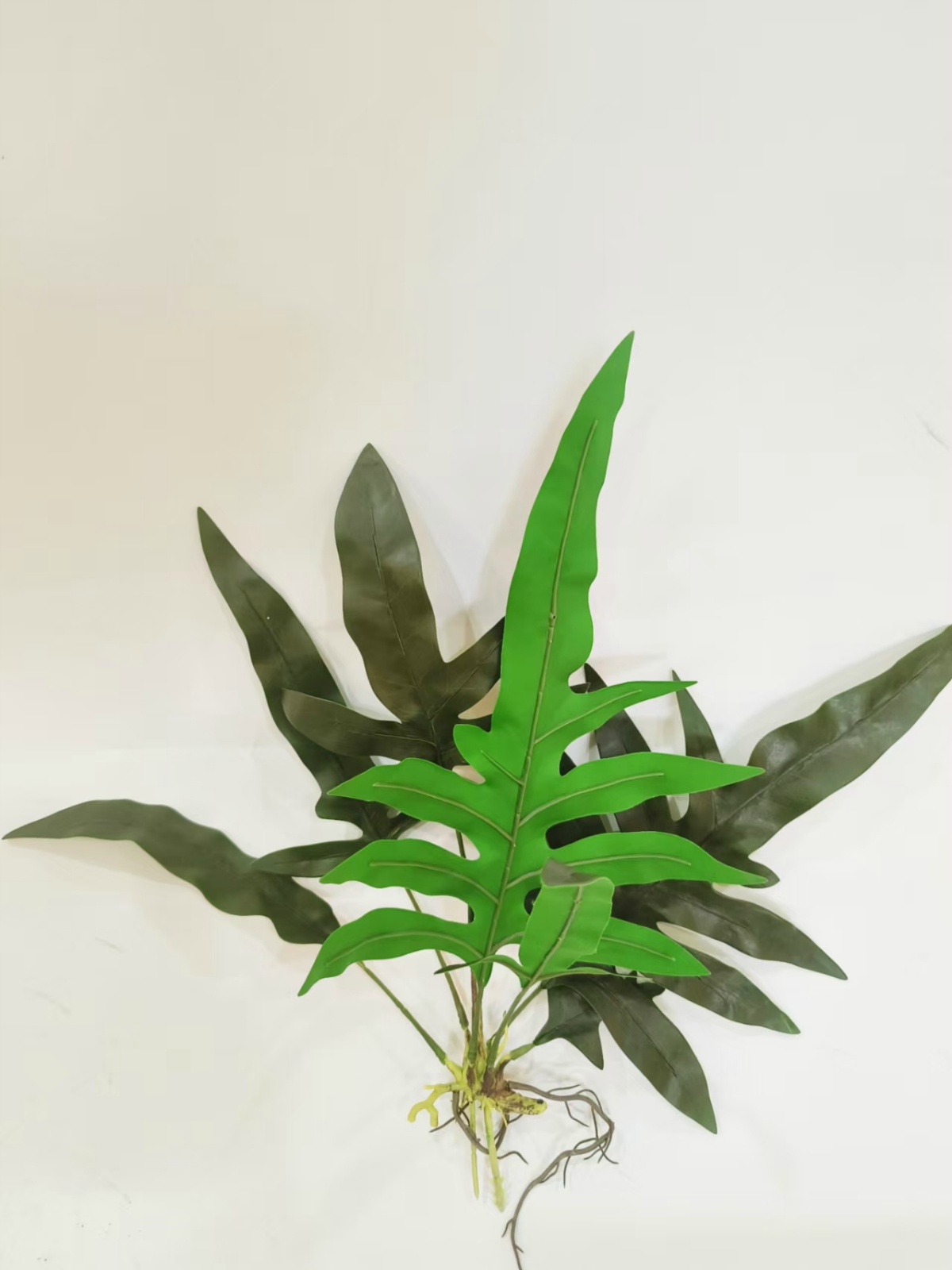 xj2022518-5