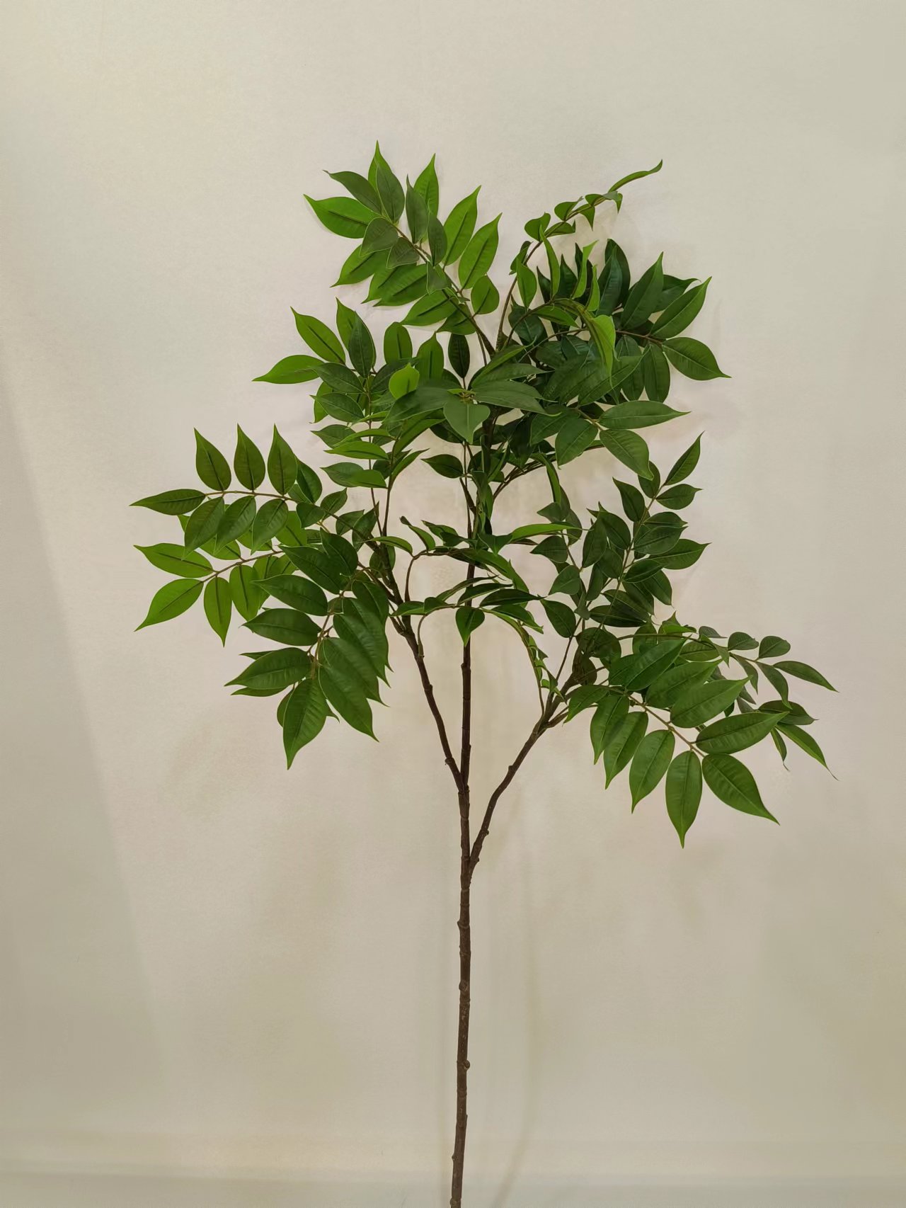55"3叉柒木 绿色