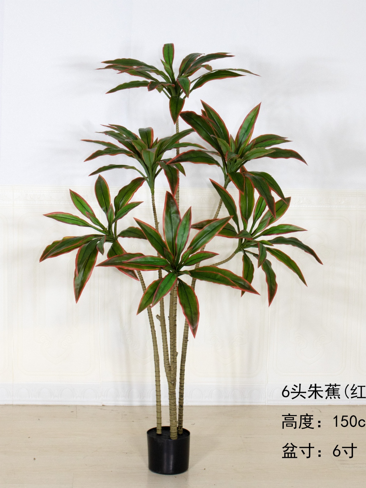 59"朱焦（红边)
