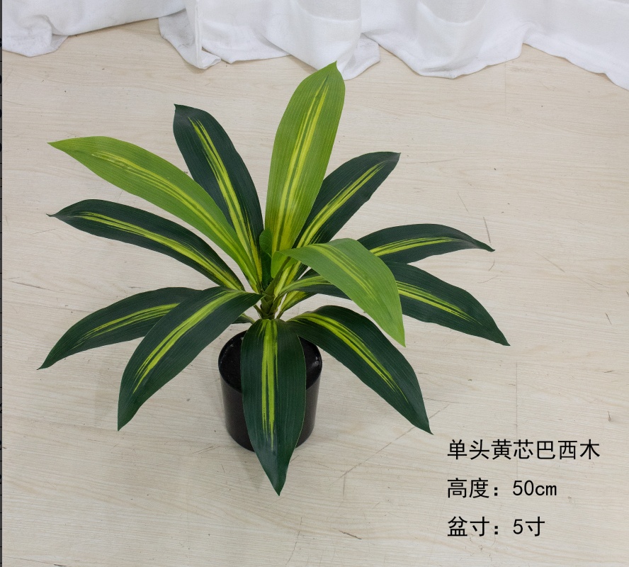 XJDS0621-50