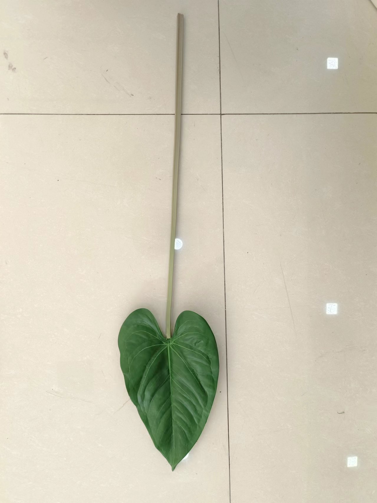 Racimo grande de hoja de Anthurium de 27