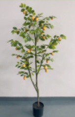 XIXY-NM-180