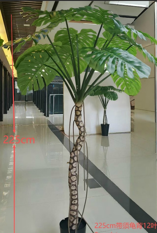 XJCH2603084-225