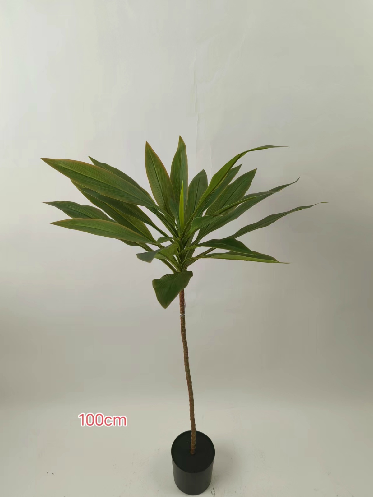XJHF202311-2