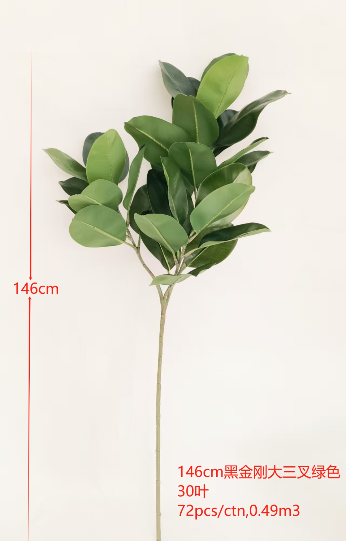 57"橡皮叶三叉绿色