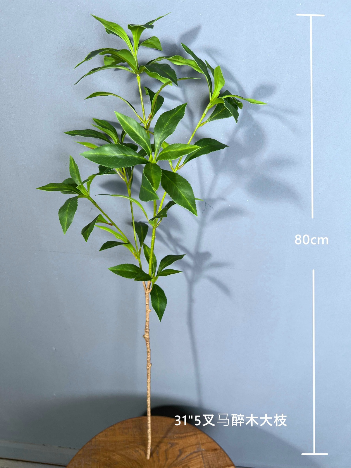 31" Pieris Japonica Single Stem