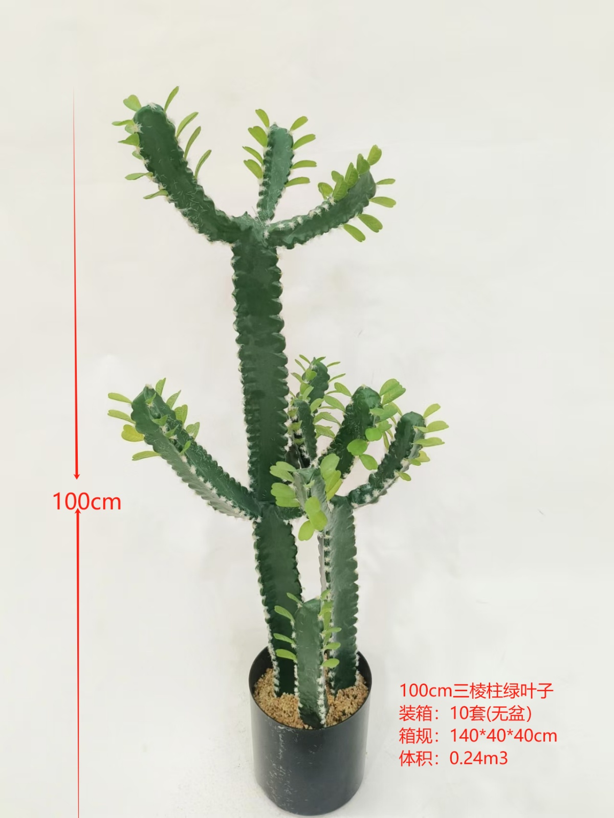 XJXR20241104-57