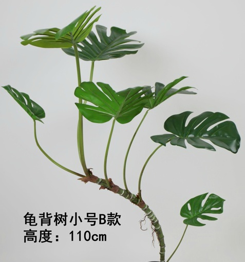 47"龟背树小B款（无盆）