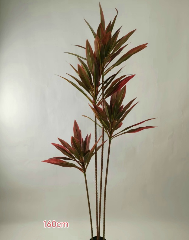 XJHF202303-5