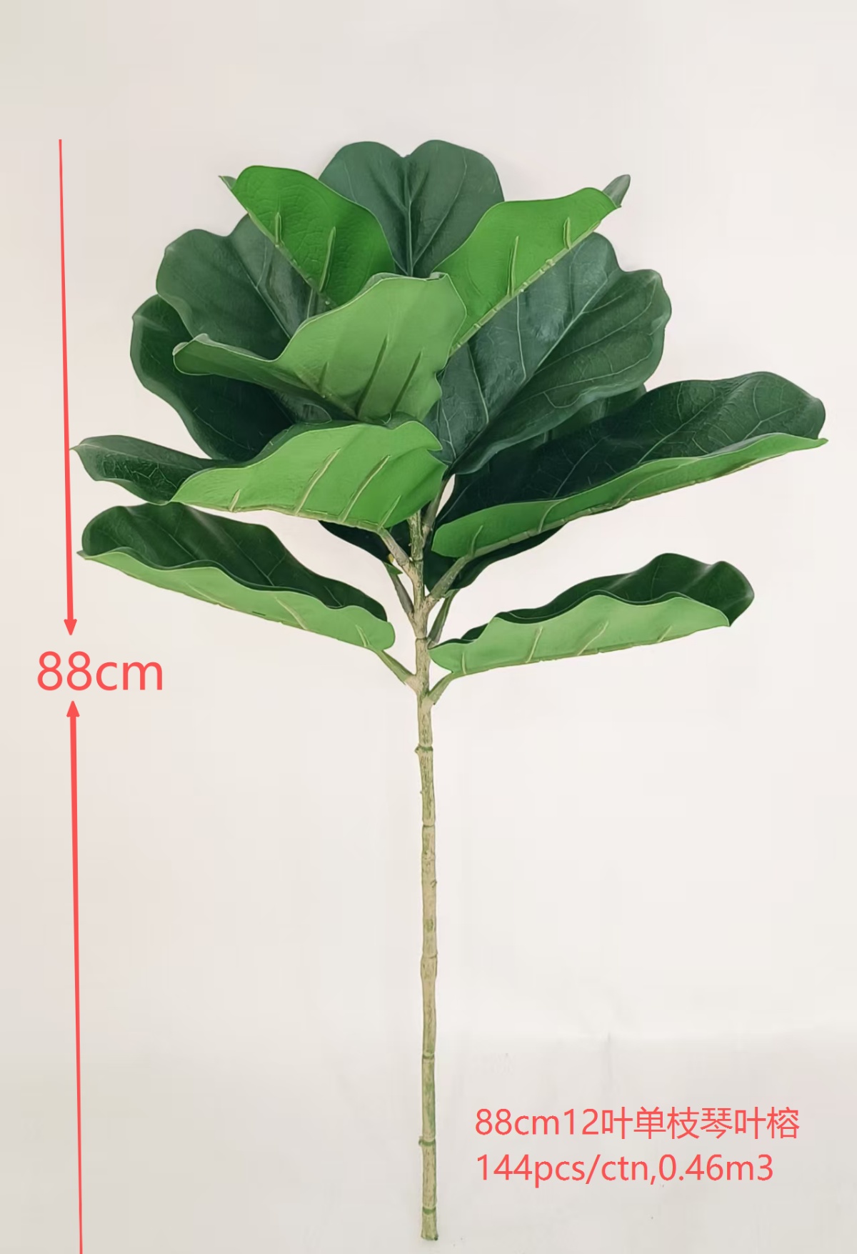 88cm单枝琴叶榕绿色