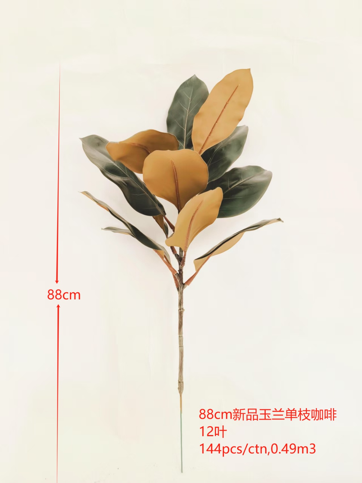 34"新品玉兰单枝咖啡