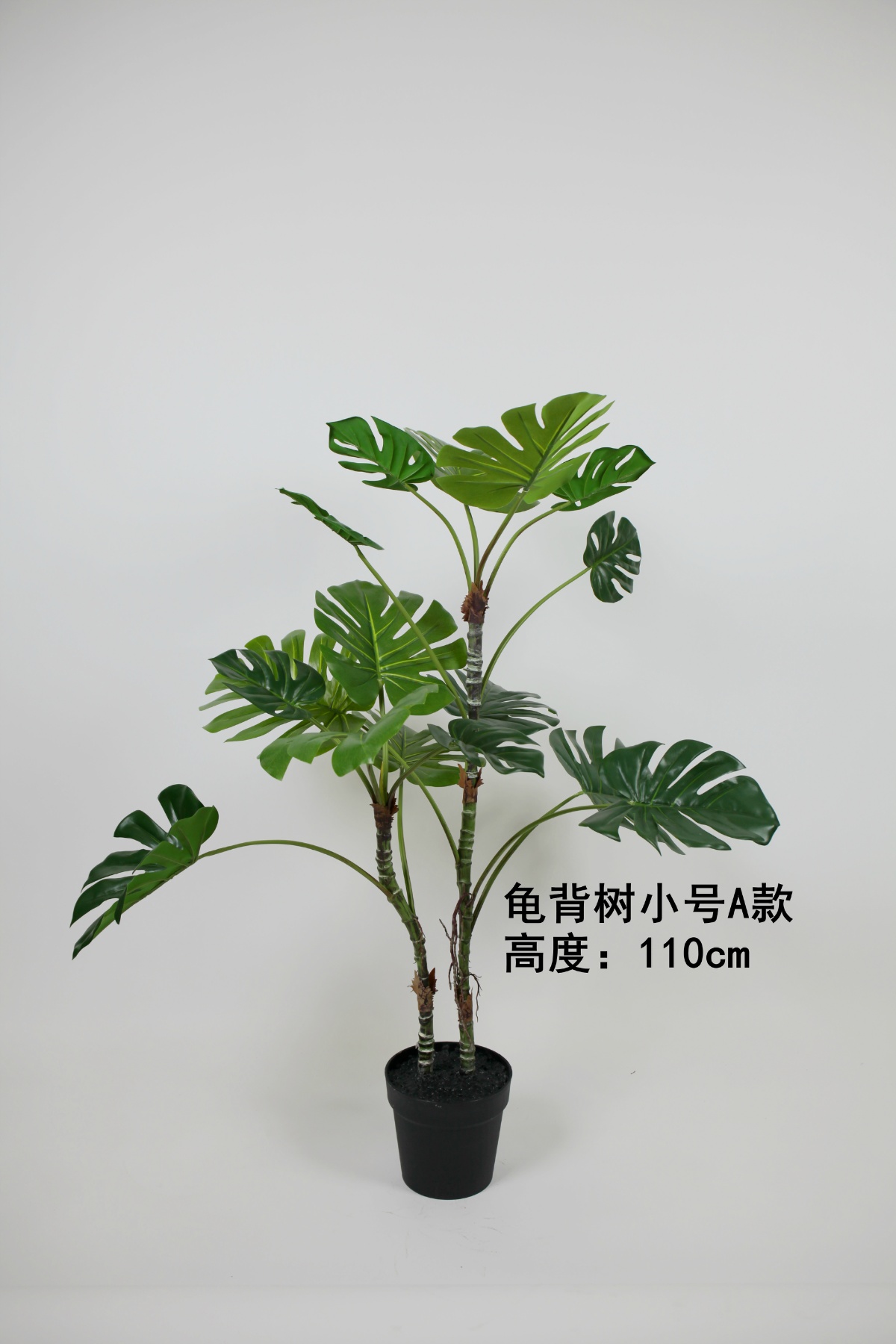 43" Monstera Small Type A