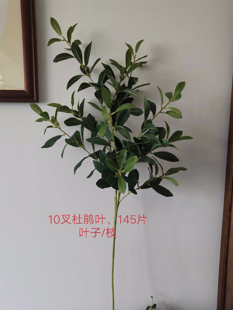 xj01801
