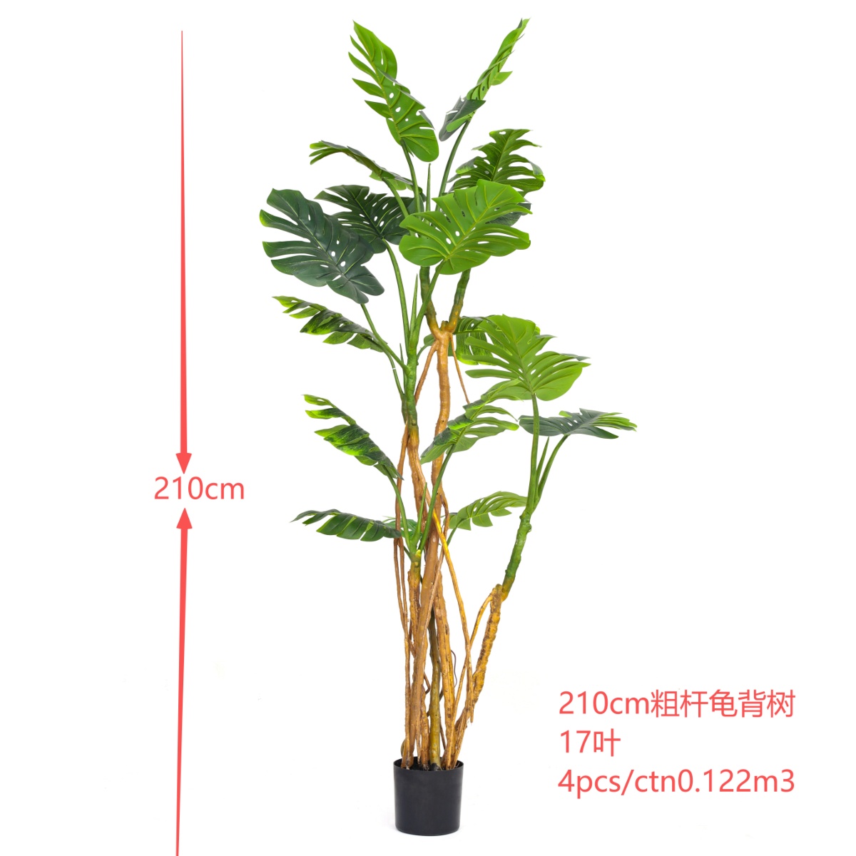 XJWBX22084