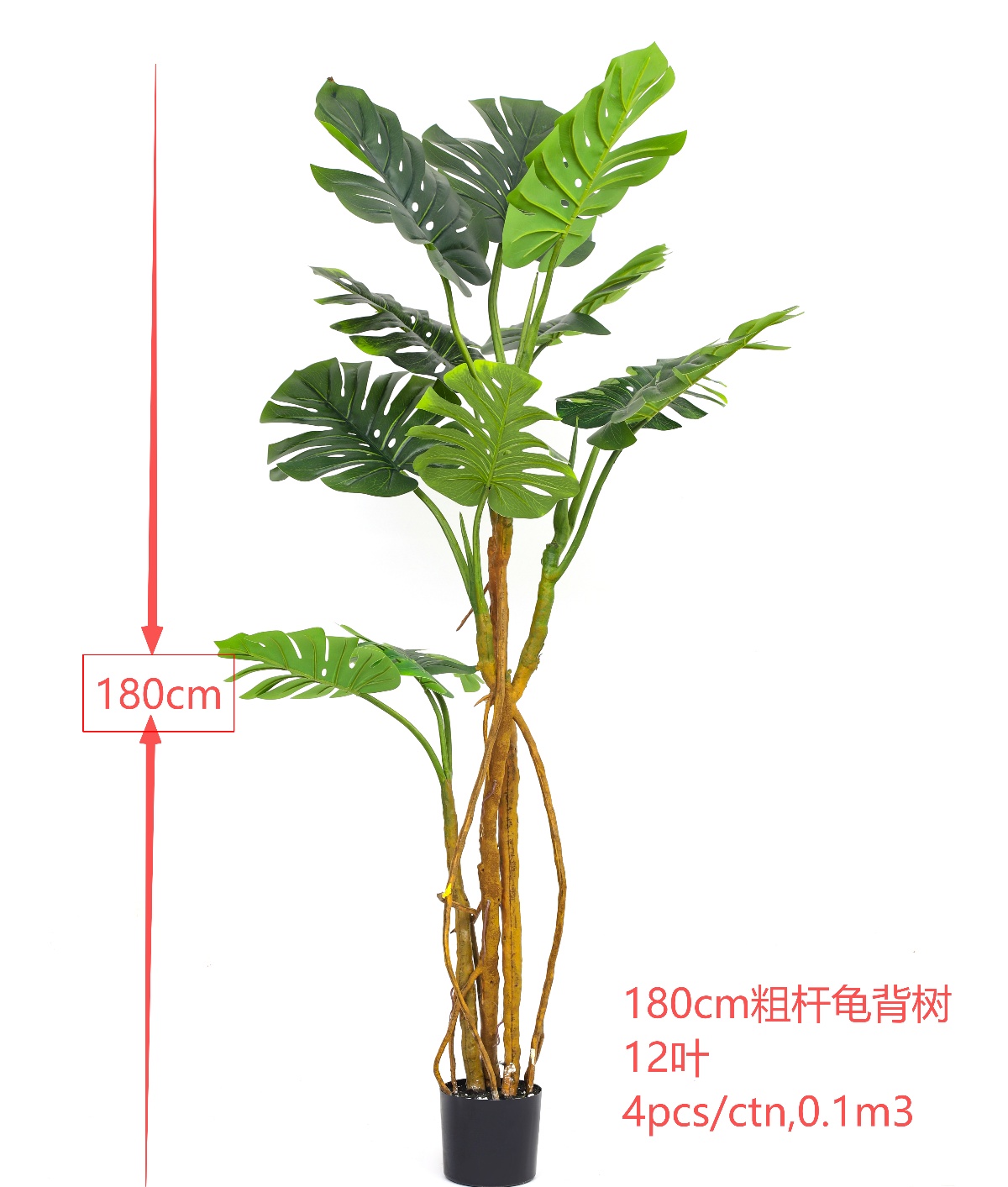 XJWBX22083