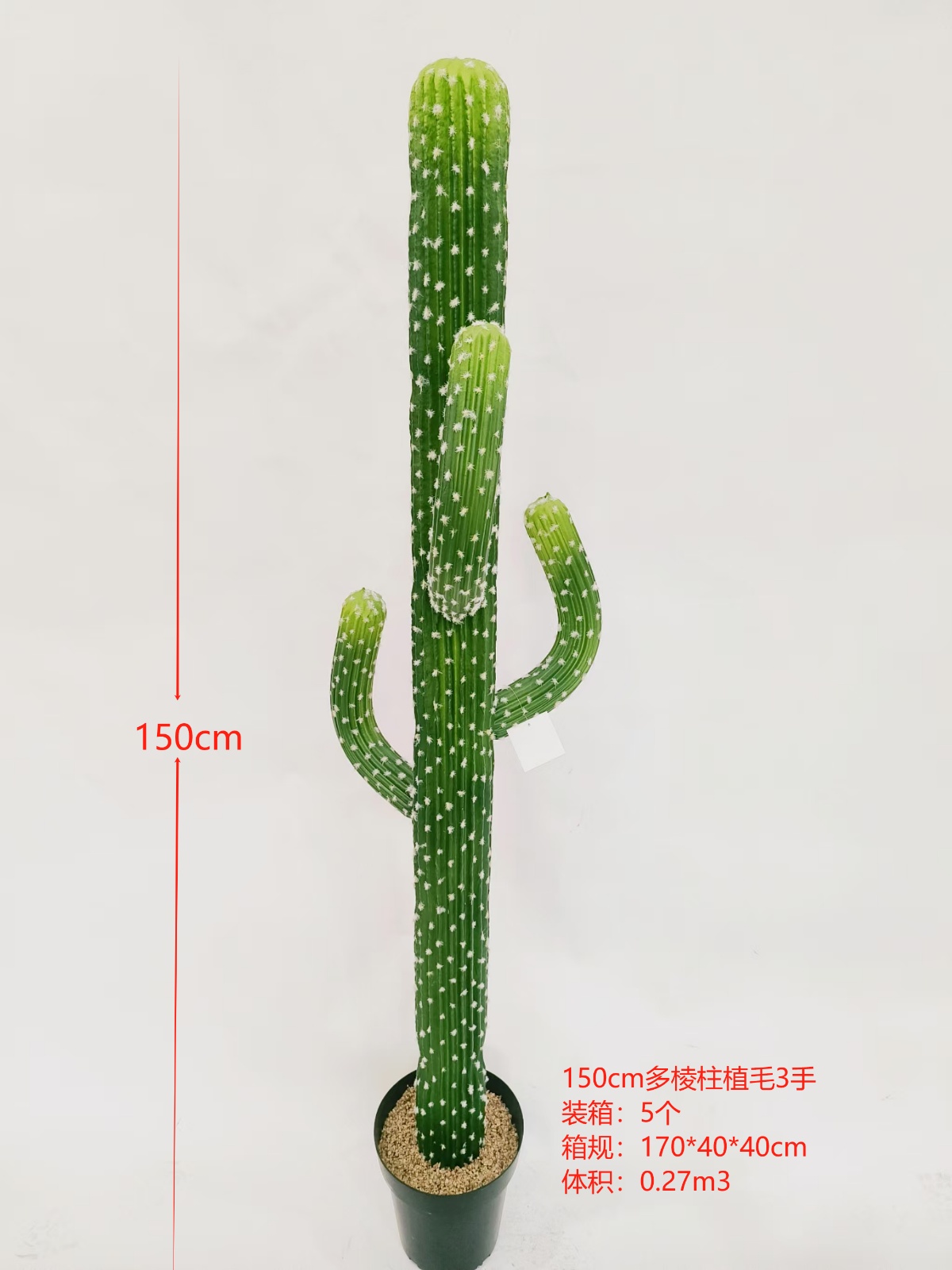 XJXR20241104-40