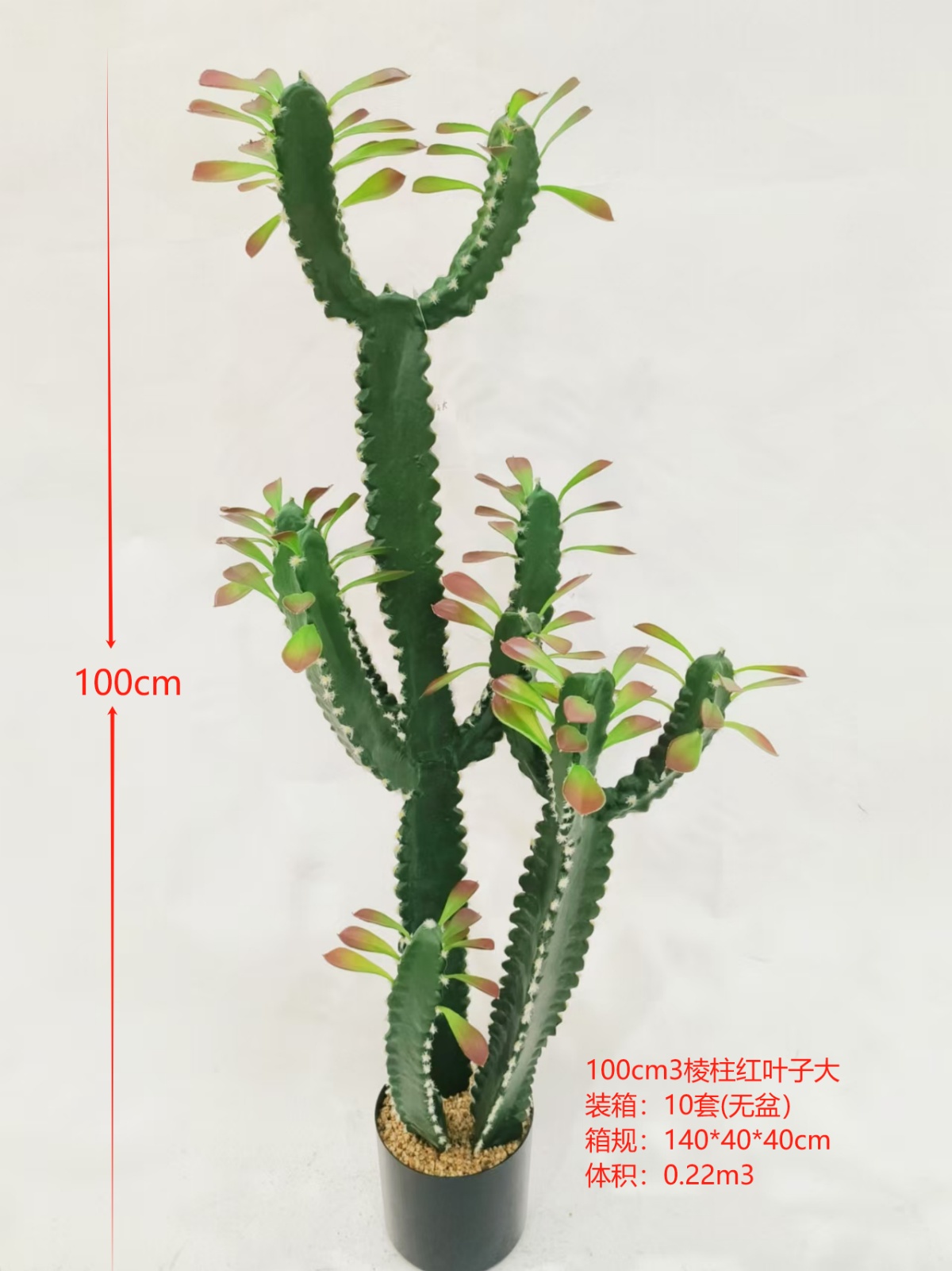 XJXR20241104-69