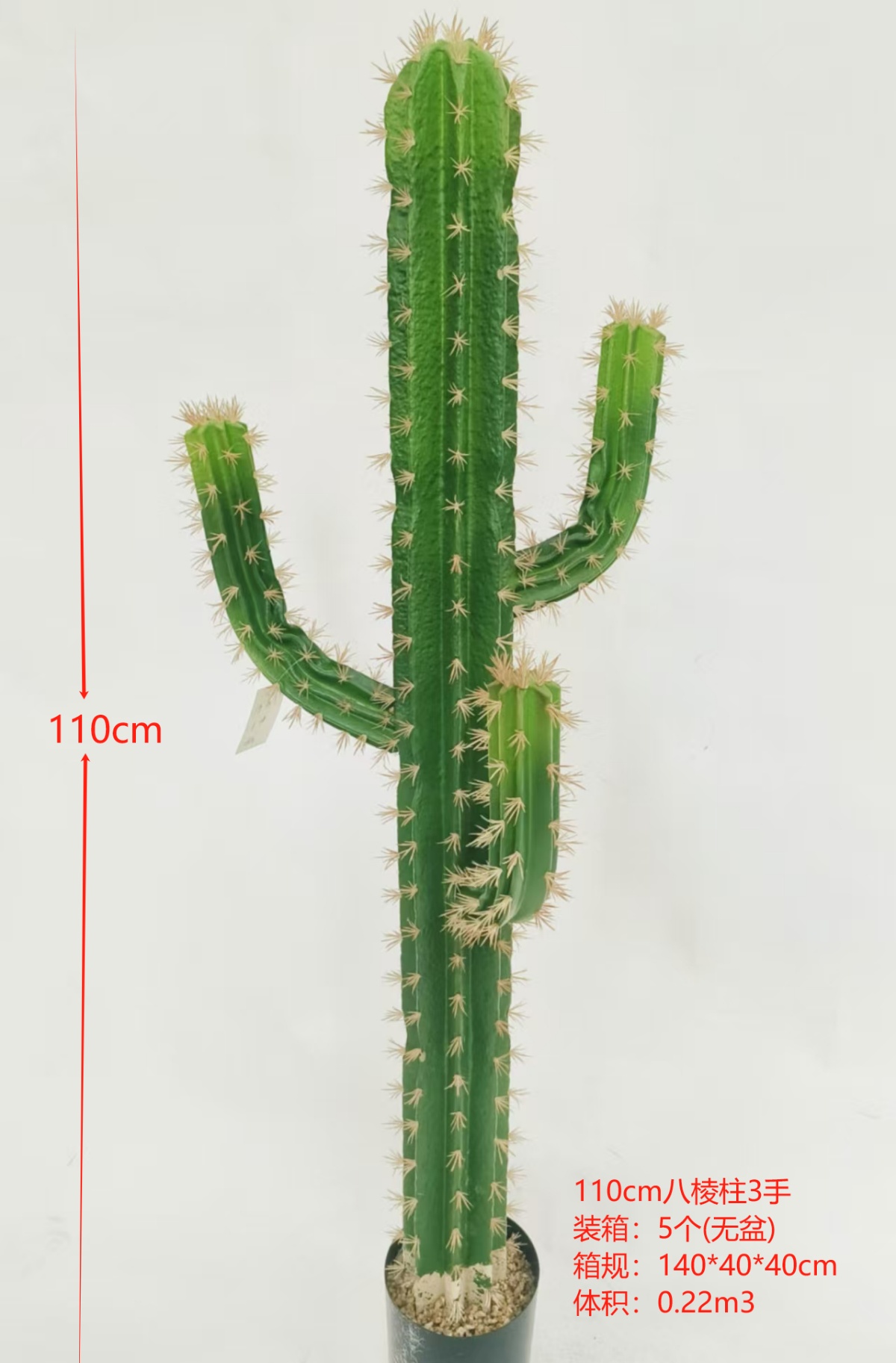 XJXR20241104-45