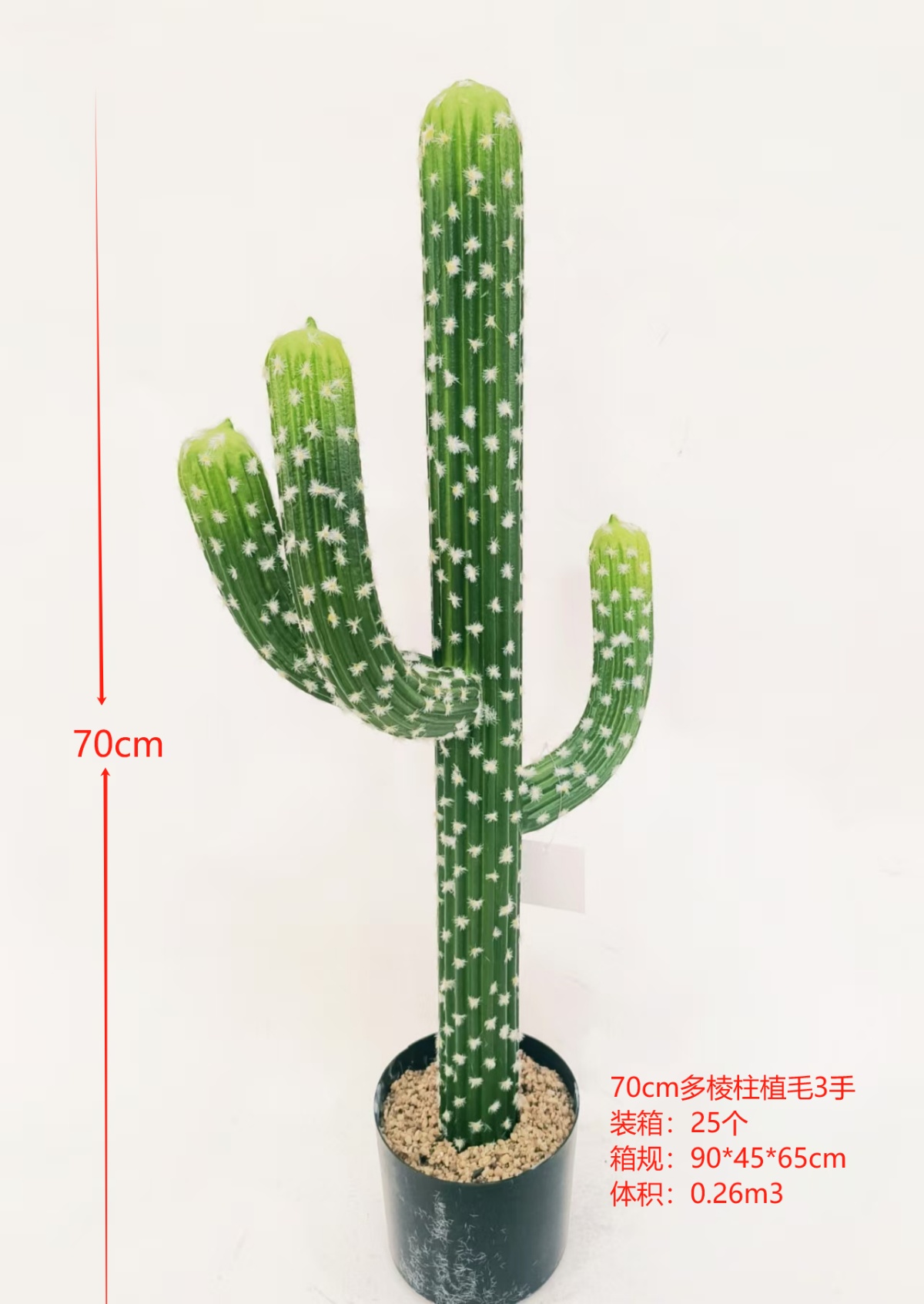 XJXR20241104-38