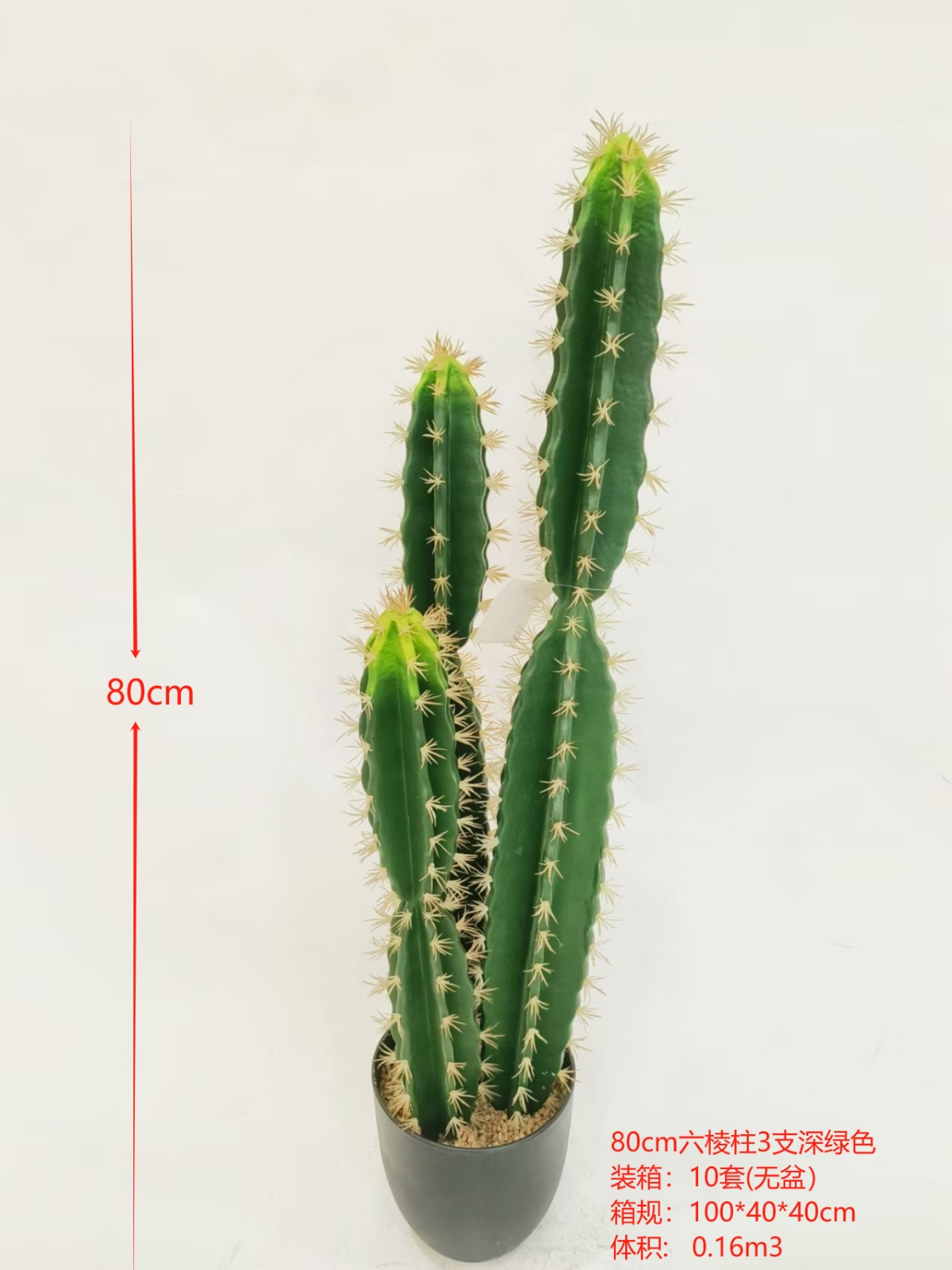 XJXR20241104-12