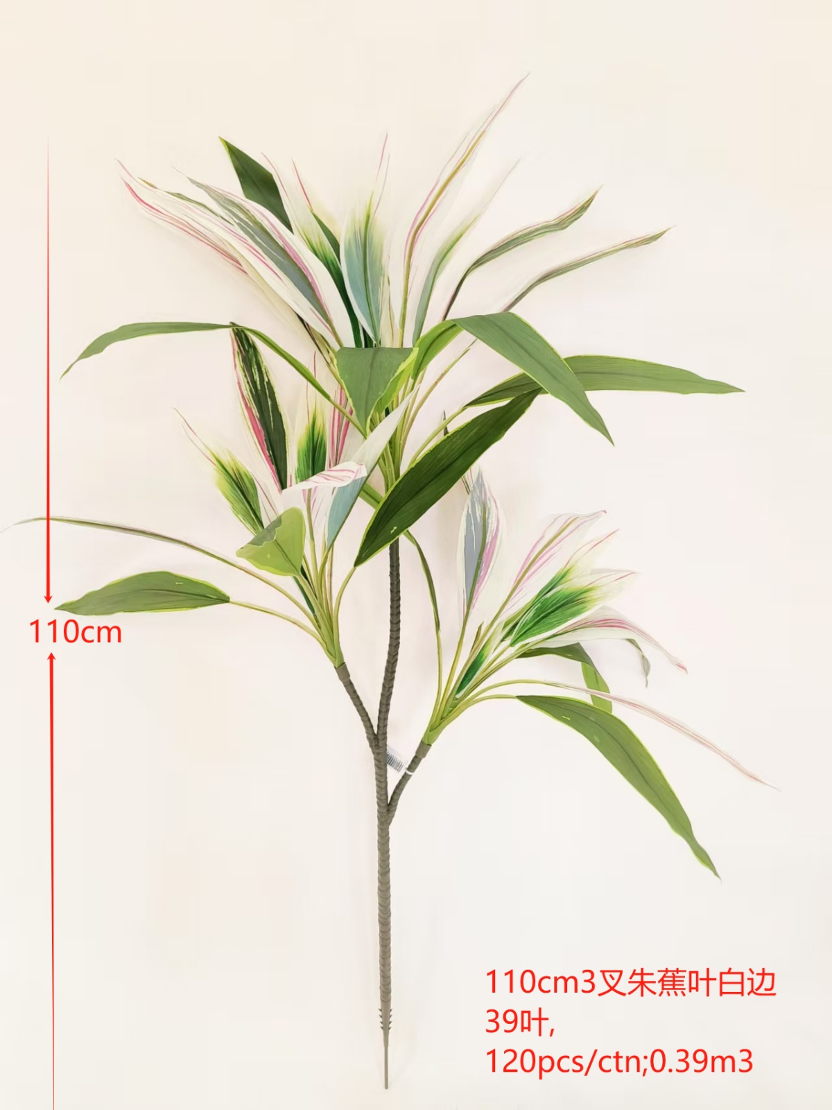 XJQH20250313-4